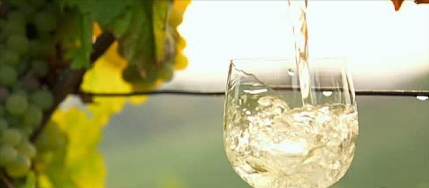 Ξεκίνησε η υποβολή αιτήσεων για ένταξη στο μέτρο Απόσταξης Κρίσης